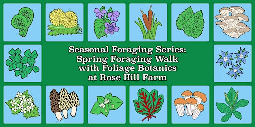 Imagem principal do evento Spring Foraging Walk at Rose Hill Farm with Foliage Botanics