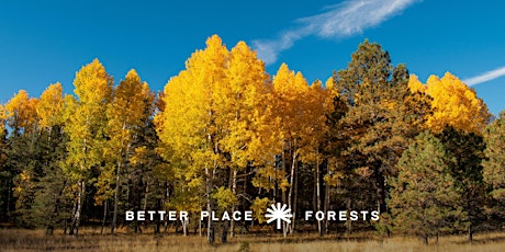 Better Place Forests Flagstaff Memorial Forest Open House