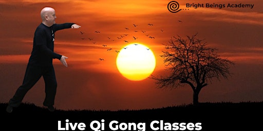 Live Qi Gong Classes At The Hook Centre Chessington primary image