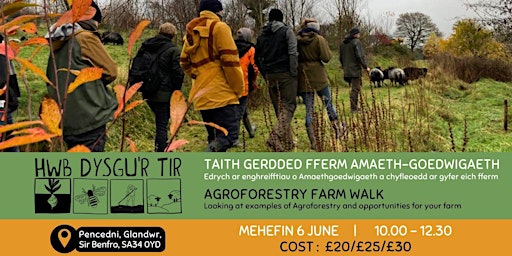 Taith Gerdded Amaeth-Goedwigaeth | Agroforestry Farm Walk  primärbild