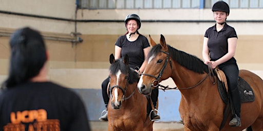 Imagem principal do evento Ma séance coaching - Initiation à cheval