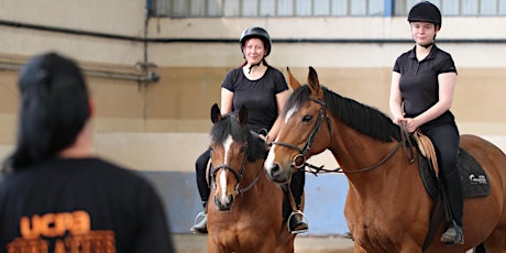 Ma séance coaching - Initiation à cheval