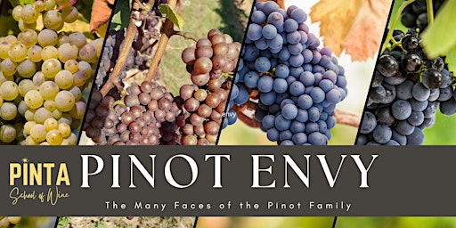 Primaire afbeelding van MONROE, GA: Pinot Envy - An Exploration of the Pinot Family