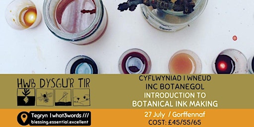 Imagem principal do evento Cyflwyniad i Wneud Inc Botanegol / Introduction to Botanical Ink Making