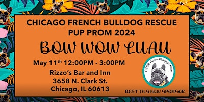 Chicago French Bulldog Rescue Pup Prom 2024 primary image