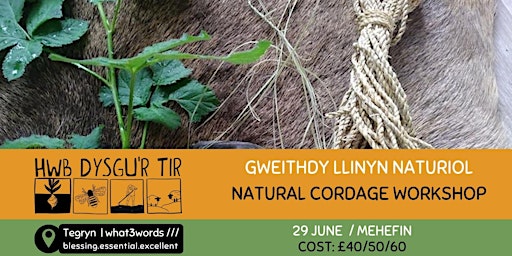 Imagem principal do evento Llinyn Naturiol / Natural Cordage