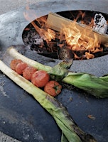 Kochen in der Outdoor Feuerküche  primärbild