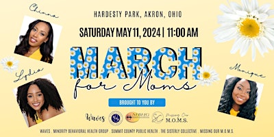 Primaire afbeelding van March for Moms