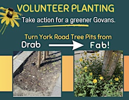 York Road Volunteer Flower Planting primary image