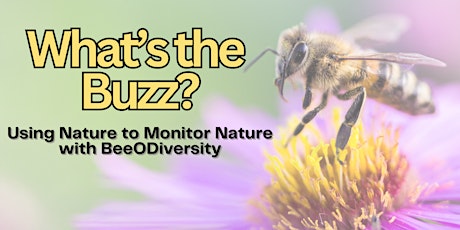 Using Nature to Monitor Nature with BeeODiversity Monitoring Programs