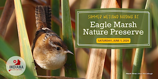 Primaire afbeelding van Summer Wetland Birding at Eagle Marsh Nature Preserve