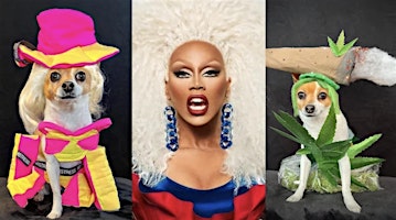 RuPaw's Doggy Drag Race primary image