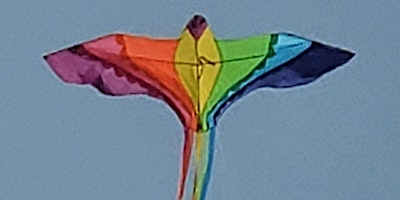 Image principale de High Flyers' Hangout: Grown Up Kite Day