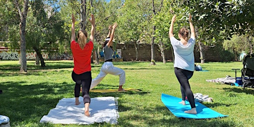 Primaire afbeelding van Yoga in a Park