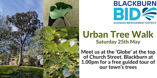 Imagem principal do evento Blackburn BID Urban Tree Walk