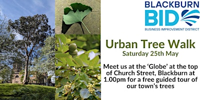 Blackburn BID Urban Tree Walk