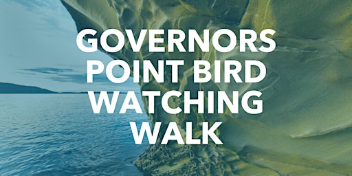 Governor’s Point Bird Watching Walk