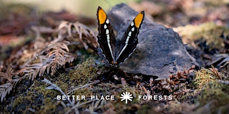 Better Place Forests Santa Cruz Memorial Forest Open House August 3