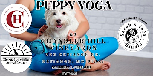 Imagem principal de Puppy Yoga at Chandler Hill Vineyards with Sarah's Yoga Studio