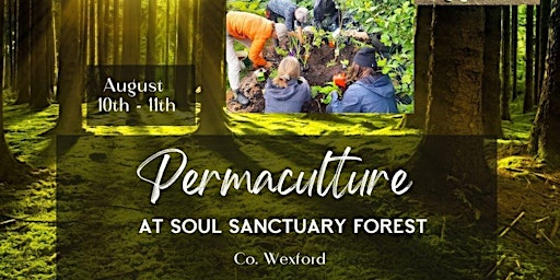 Permaculture primary image