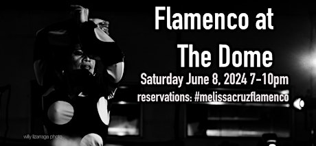 Flamenco at The Dome 2