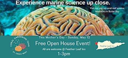 Imagem principal do evento May 12, 2024 - OPEN HOUSE - Coral Reef Pop-Up Lab