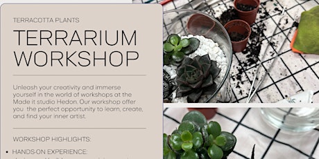 Open Terrarium with Terracotta plants