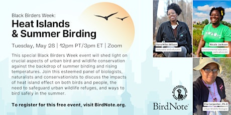 Black Birders Week: Heat Islands and Summer Birding
