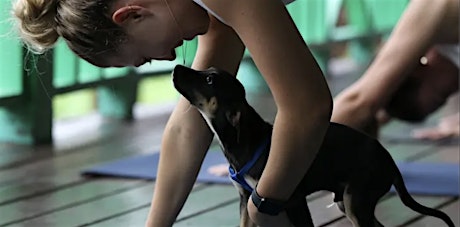 Puppy Yoga: Honoring Self, Puppy, & Community