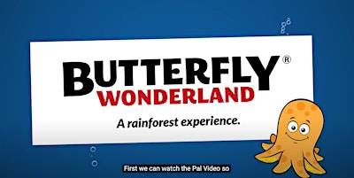 Hauptbild für Free Tickets to Pal Place Butterfly Wonderland
