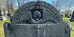 Hauptbild für The Stones Cry Out: The Epitaphs of Waltham's Grove Hill Cemetery