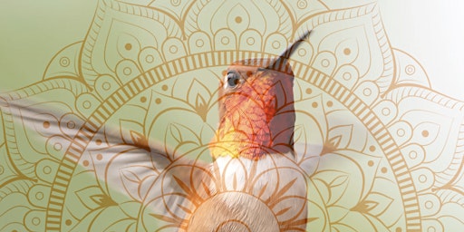Immagine principale di Osho Meditation and Gong 