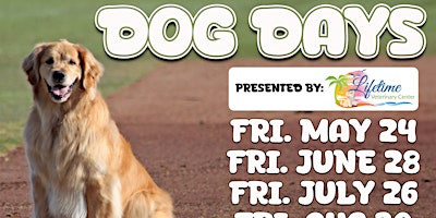 Imagem principal do evento Dog Days at Roger Dean Chevrolet Stadium