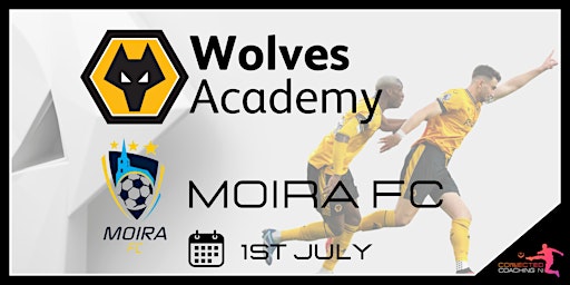 Hauptbild für Wolves Academy Camp Hosted by Moira FC