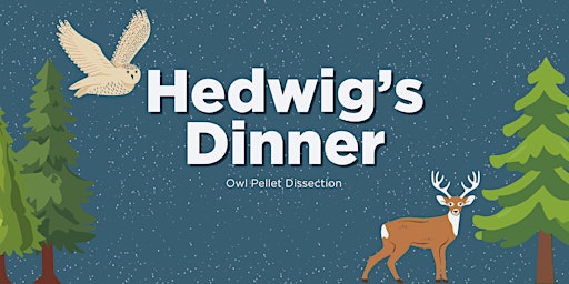 Imagem principal do evento Hedwig's Dinner