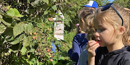 Berries and Wild Foraging Farm Tour  primärbild