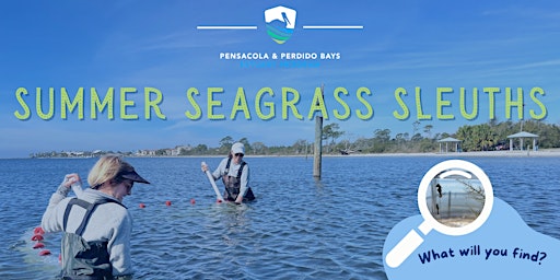 Summer Seagrass Sleuths: Bring Your Own Boat primary image