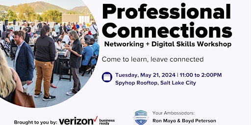 Professional Connections: Networking Plus Digital Skills Workshop primary image