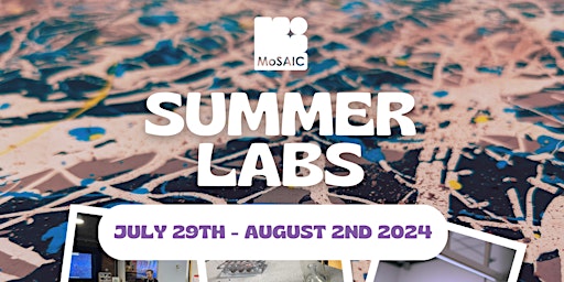 Primaire afbeelding van Summer Labs: Become an Art Forensic Scientist for the Day (Monday 29th)