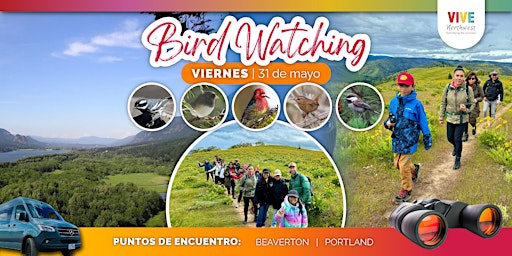 Imagem principal do evento ¡Ven, Vive y veamos juntos aves con Vive NW!