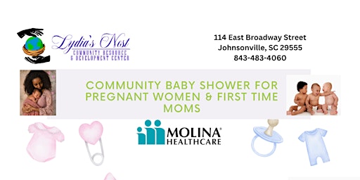Imagem principal do evento Lydia's Nest Community Baby Shower