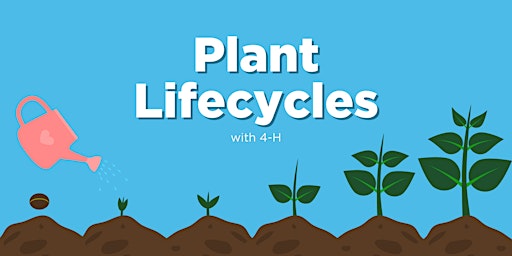 Imagem principal do evento Plant Lifecycles with 4-H