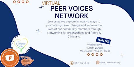 Peer Voices Networking Group
