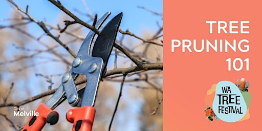 Tree Pruning 101 primary image