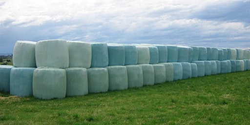 Immagine principale di Top Fodder – Forbes - Successful Silage Making: 3-Day Workshop 