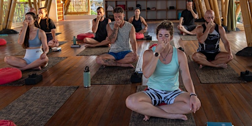 Weekly Yoga Breathwork classes primary image