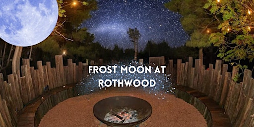 Rothwood at Night primary image