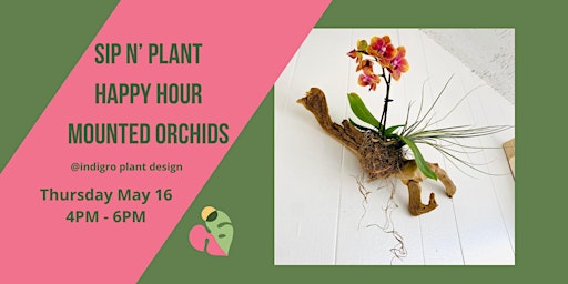 Imagem principal do evento Sip n' Plant Happy Hour Mounted Orchids