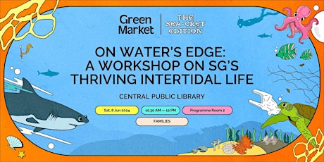 On Water's Edge: A Workshop On SG's Thriving Intertidal Life | Green Market