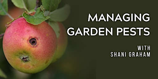 Hauptbild für Managing Garden Pests